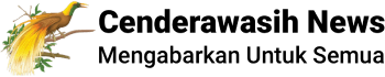 Portal Berita Cenderawasih News
